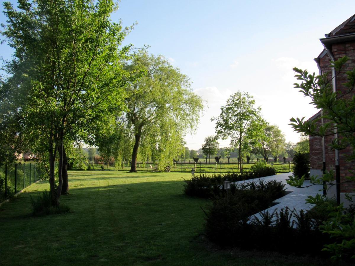 La Belle Idee Bed & Breakfast Nokere Bagian luar foto