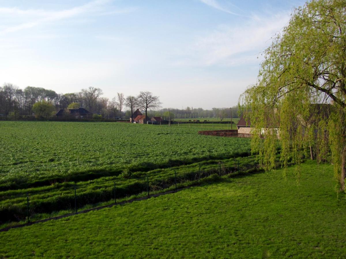 La Belle Idee Bed & Breakfast Nokere Bagian luar foto